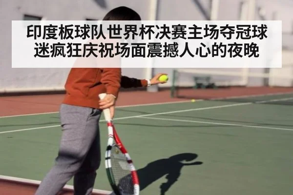 印度板球队世界杯决赛主场夺冠球迷疯狂庆祝场面震撼人心的夜晚