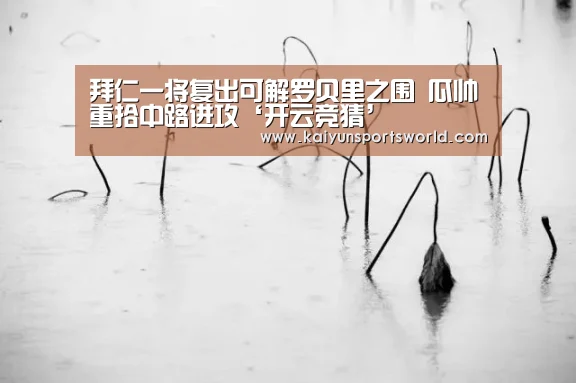 开云竞猜