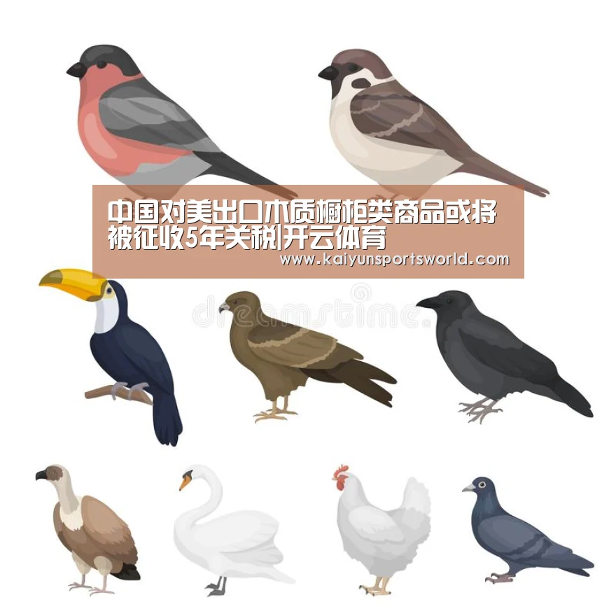 开云竞猜
